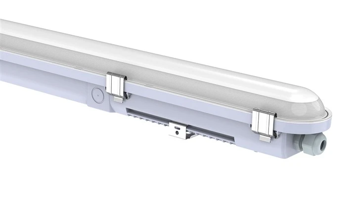 Single NCF Light suppliers