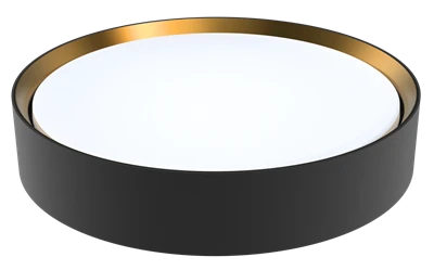 Kasco Ceiling Light
